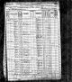 1870 Census  James Martin and Tyra Martin families