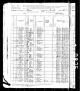 1880 Census for Andrew Teuke and family