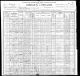 1900 census for Robert Joshua Carmichael