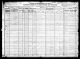 1920 US Census for Harry Kanter and family